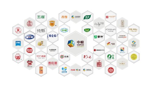 生活不止于想象 中糧悅著·九章啟幕南京南站新篇章